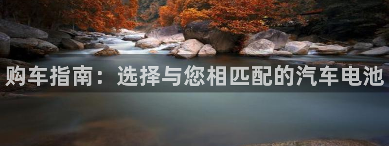 优发国际是什么