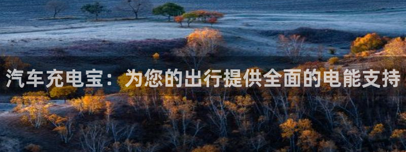 优发国际官网是多少号码