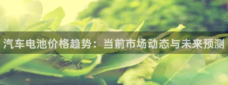 优发国际平台u8怎么样：汽车电池价格趋势：当前市场动态与未来预测
