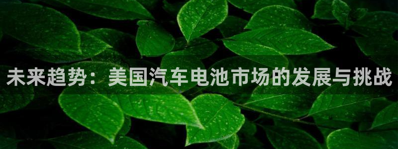 优发国际平台18岁能做吗：未来趋势：美国汽车电池市场的发展与挑战