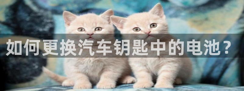 优发国际官网入口app下载苹果