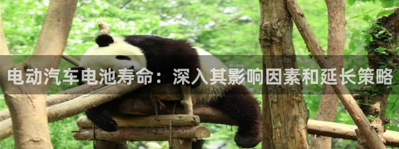 优发国际手机版官网入口