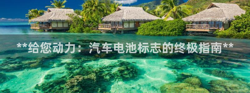 优发国际手机版客户端下载