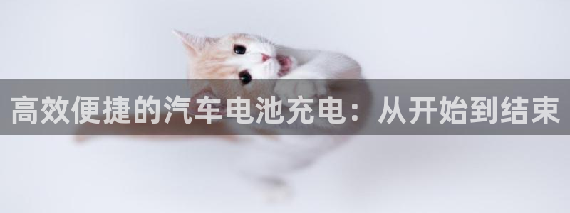 优发国际这个平台怎么样可靠吗