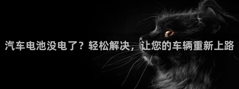 优发国际合并到哪里了最新消息：汽车电池没电了？轻松解决，让您的车辆重新上路