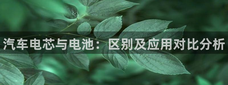 优发国际手机客户端app：汽车电芯与电池：区别及应用对比分析