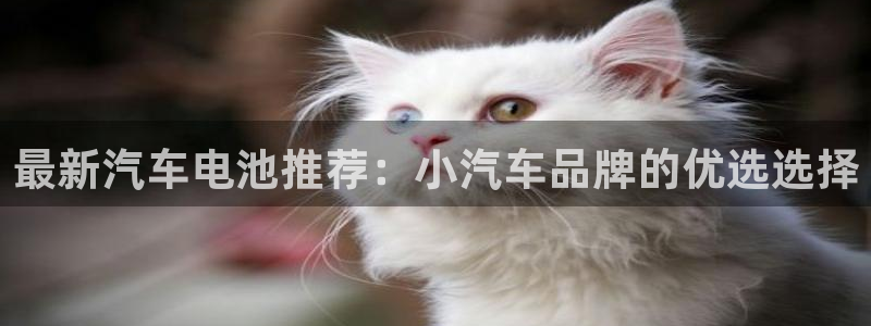 优发国际手机版网站下载