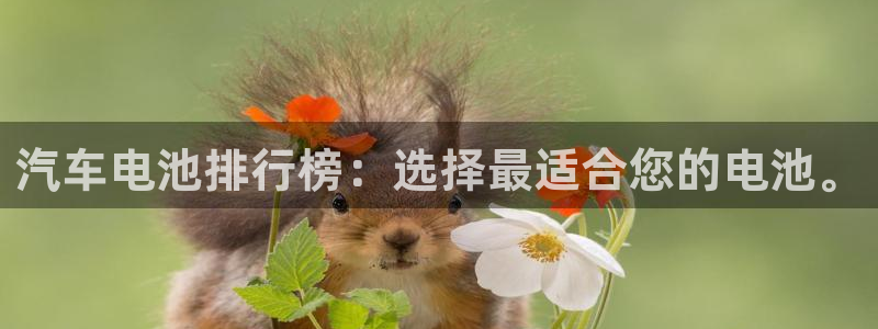 优发国际手机版唯一官网是什么